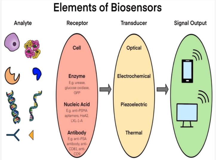 What are biosensors and how are they impacting the VR and healthcare industries? 1