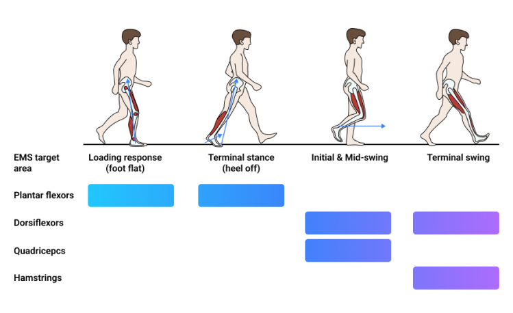 Functional Electrical Stimulation in Healthcare 3